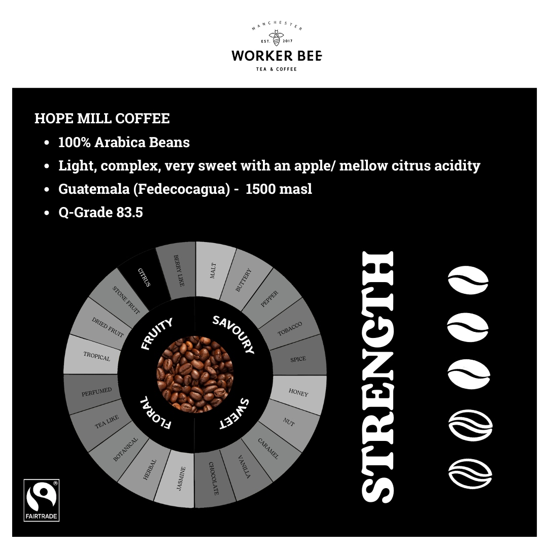 Hope Mill Guatemalan Single Origin Speciality Espresso Coffee Beans 500g