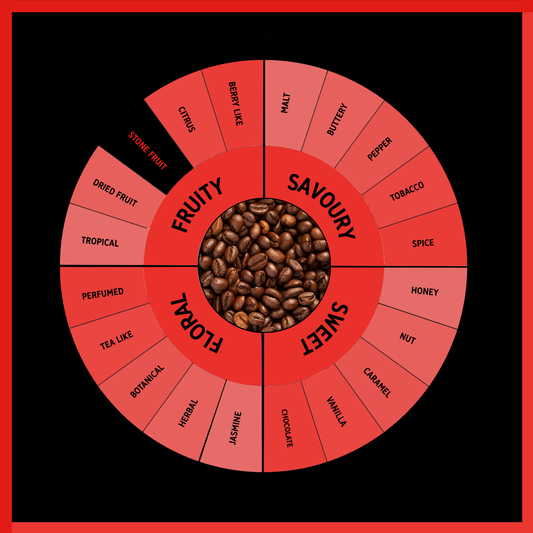 Piccadilly Mill Espresso Coffee Beans 500g
