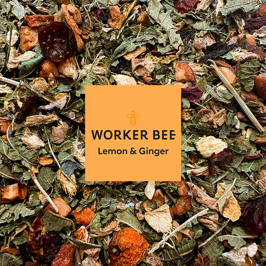 Lemon and Ginger Infusion - Biodegradable Tea Bags (100)
