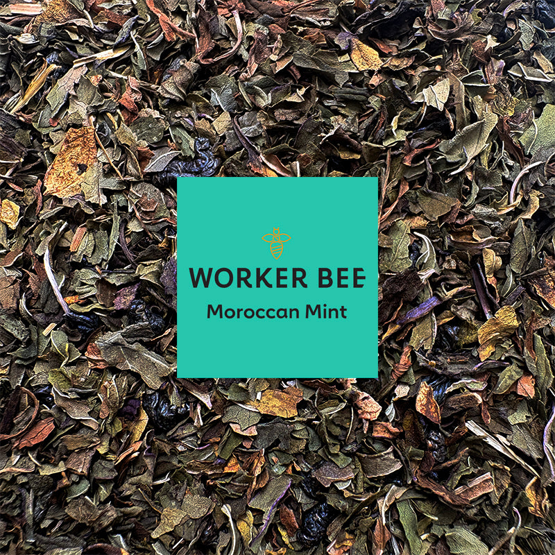 Moroccan Mint Green Tea - Biodegradable Tea Bags (100)