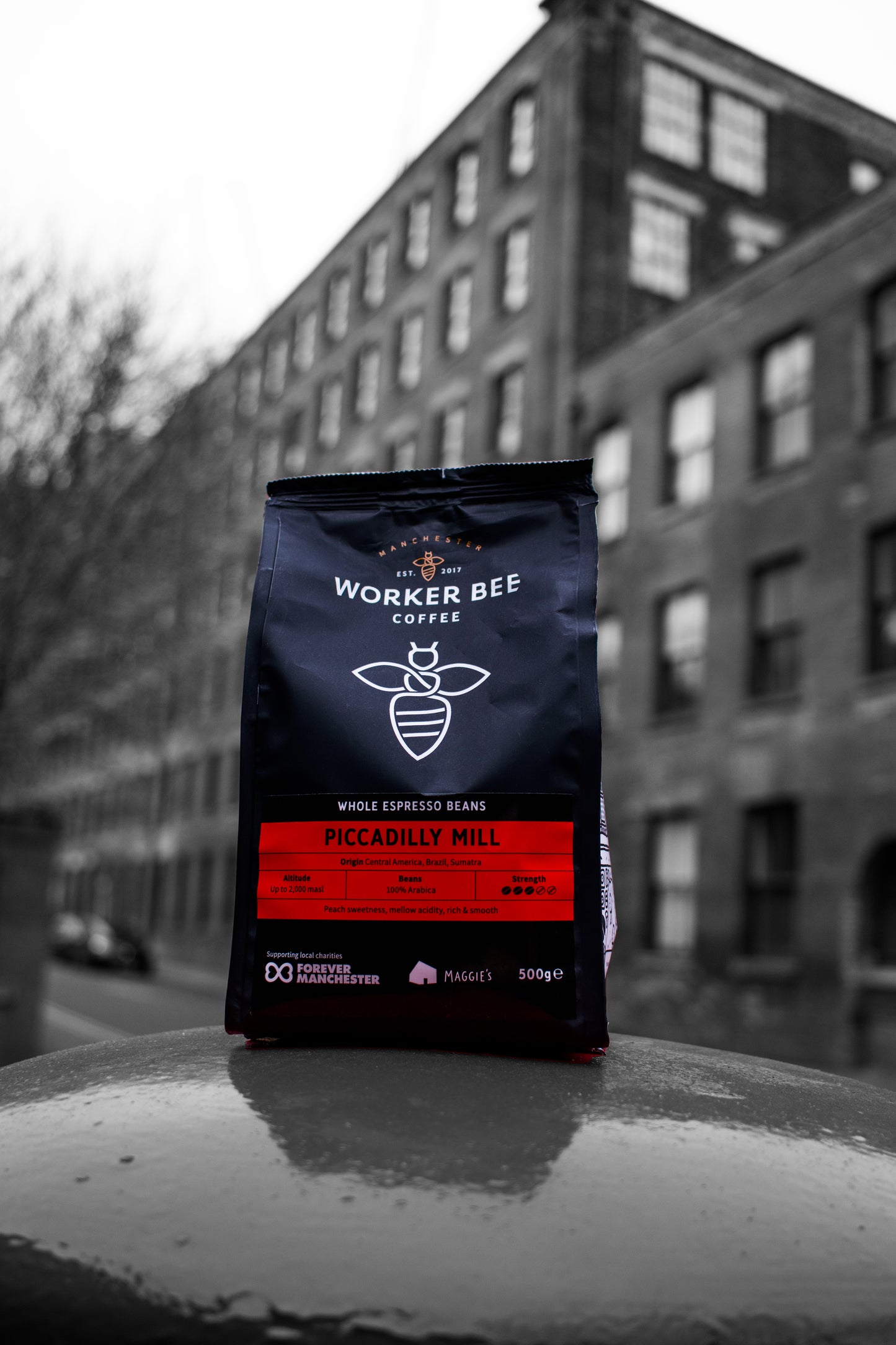A 500g bag of Worker Bee Tea & Coffees Piccadilly Mill Espresso Beans rests outdoors on a smooth surface, vivid against a black-and-white city backdrop that draws attention to the coffee’s rich chocolatey notes.
