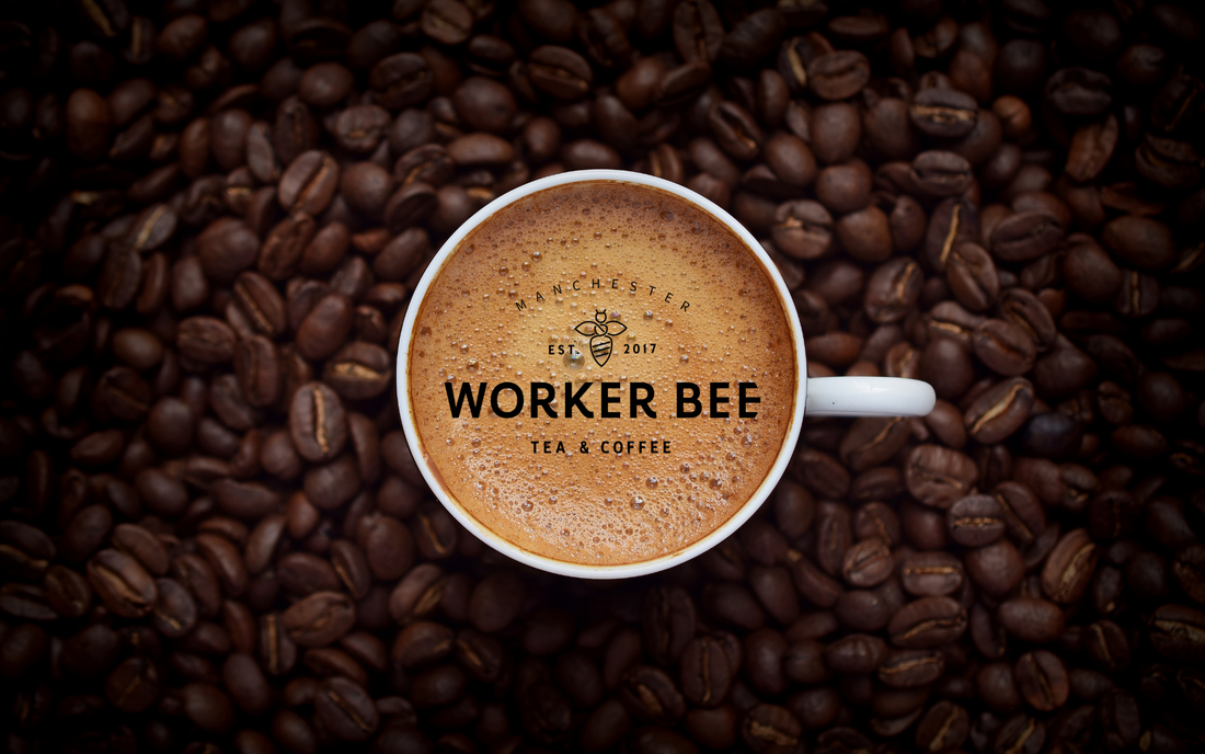 Our Coffee Flavour Profiles