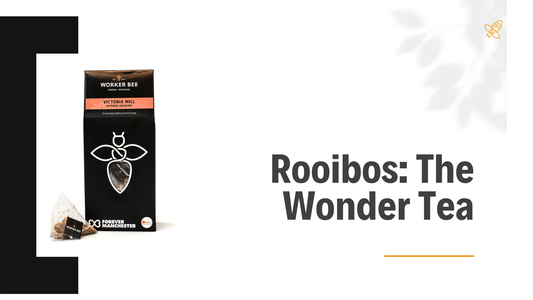 Rooibos: The Wonder Tea