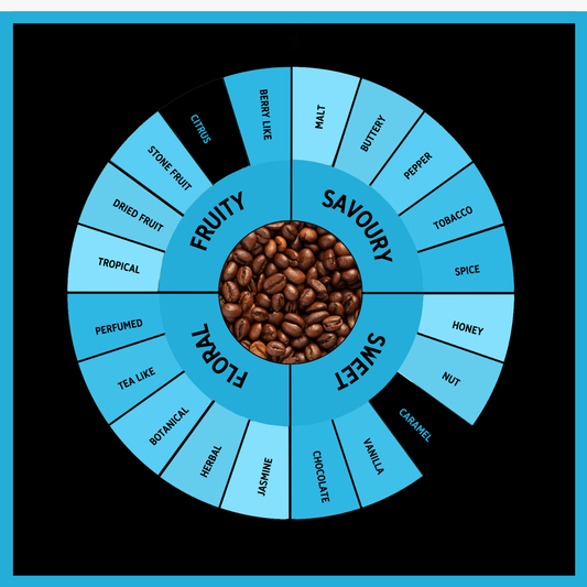 Decker Mill Swiss Water Decaf Espresso Coffee Beans 500g
